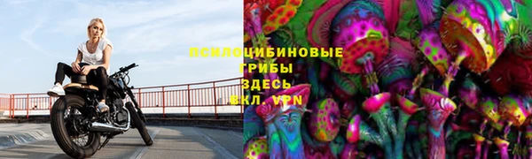spice Алзамай