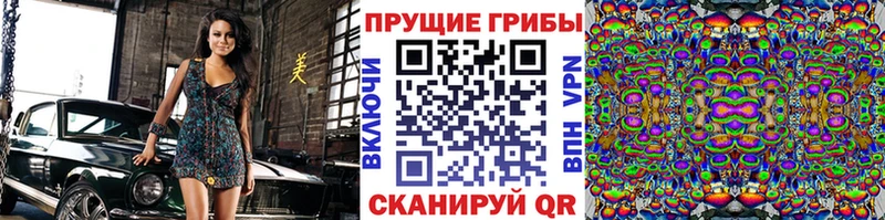 Псилоцибиновые грибы прущие грибы  kraken зеркало  Кемерово 